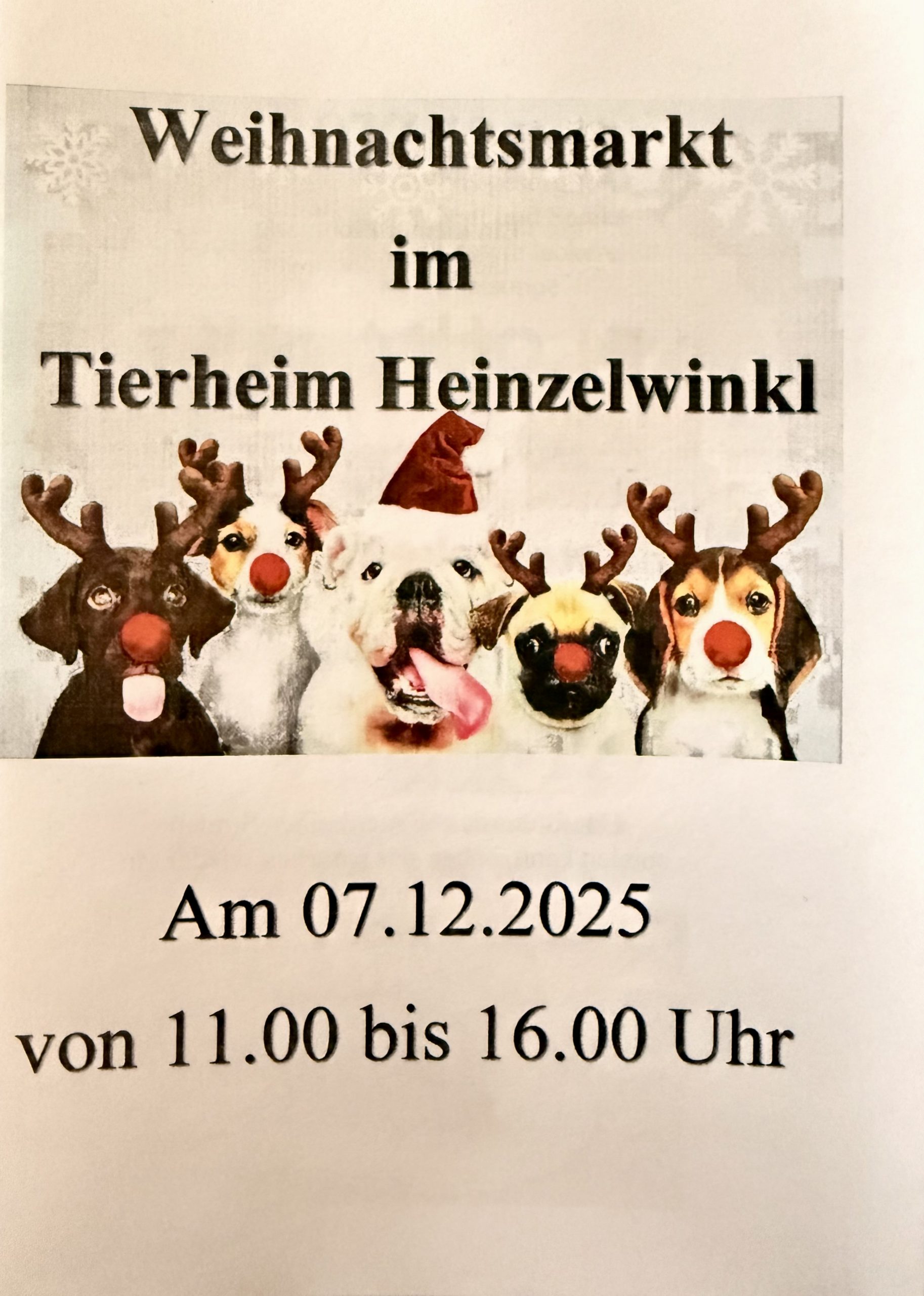 weihnachtsmarkt