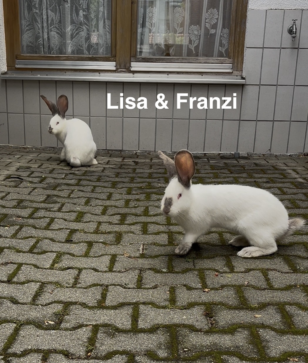 Lisa&Franzi